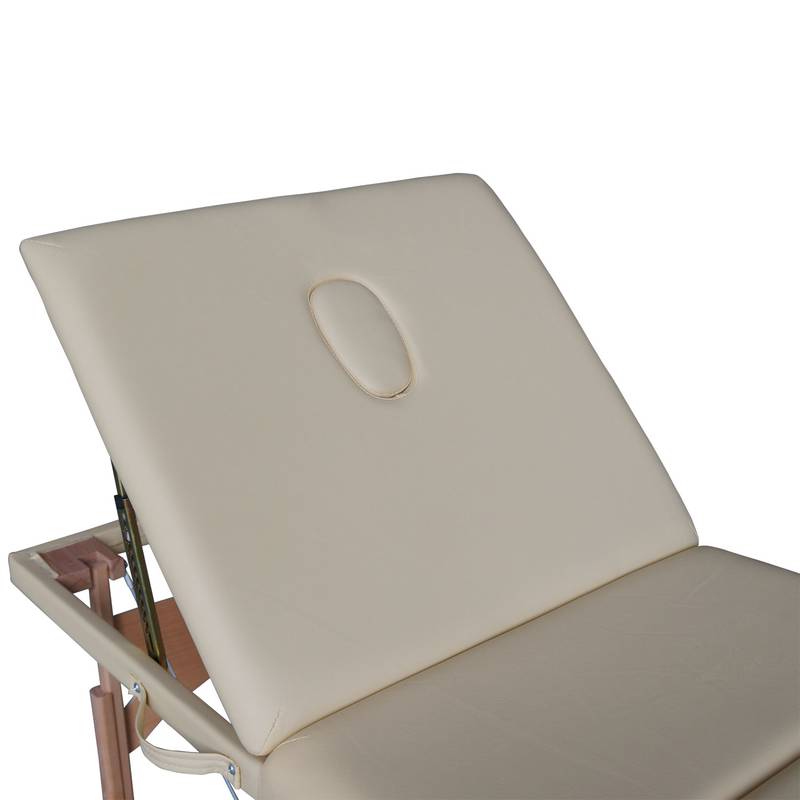 Массажный стол DFC NIRVANA Relax Pro TS3021_B2