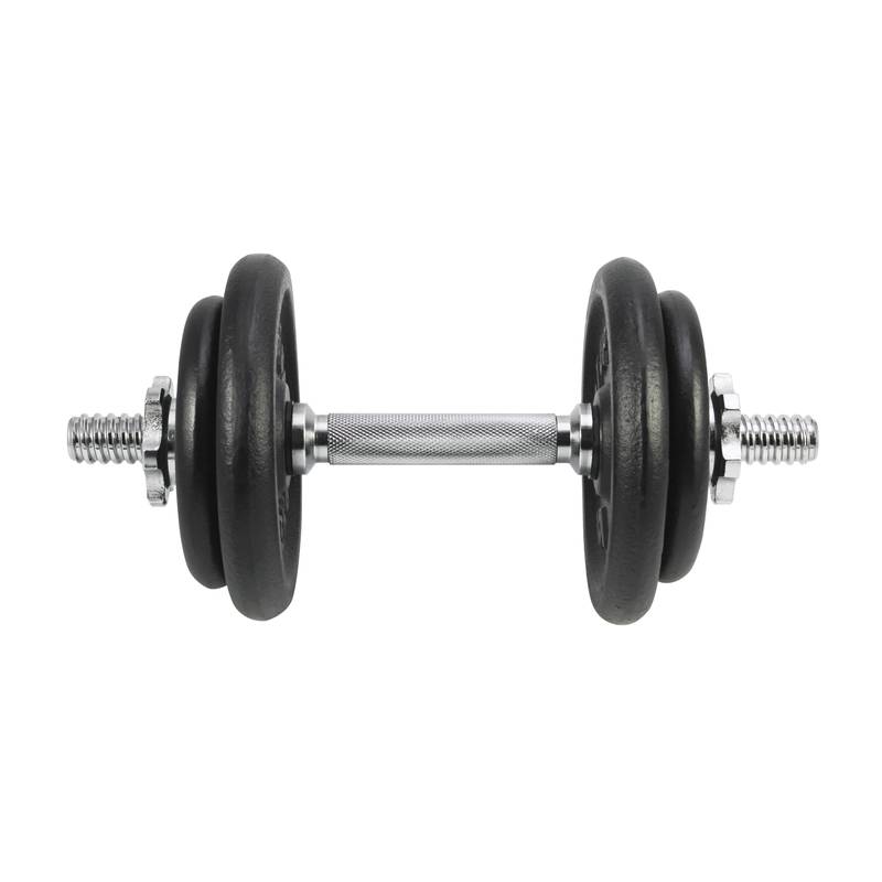 Гантель разборная Start UP HD2704 в пл. чемодане 10 кг (1x10 кг) (крашеная)
