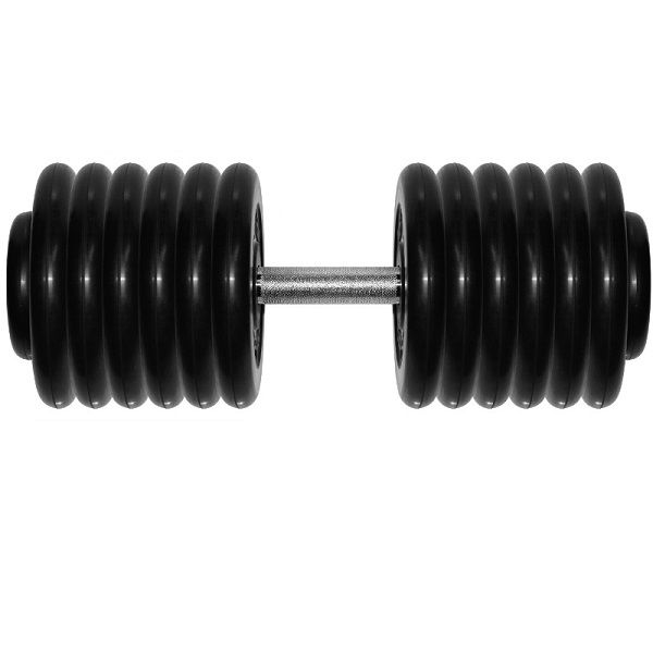 Гантель Barbell 66 кг неразборная профи