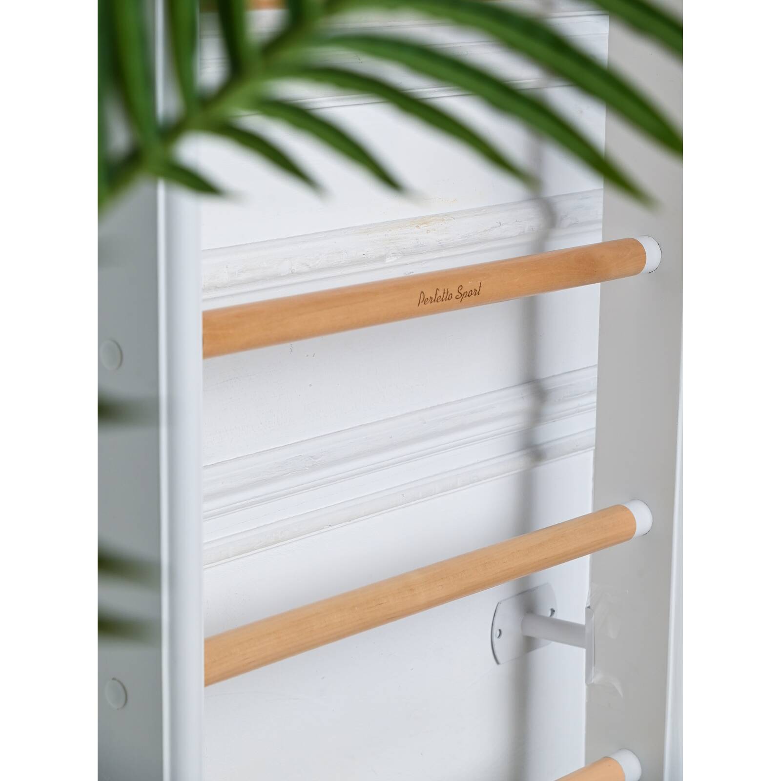 ДСК PERFETTO SPORT "Scala in legno" bianco-naturale PS-112