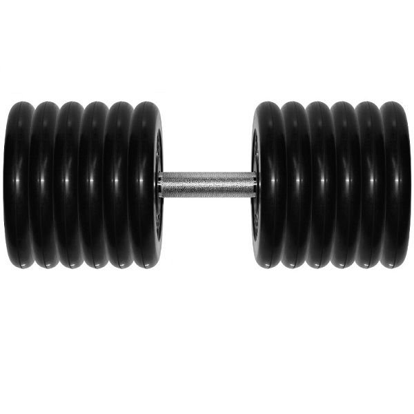 Гантель Barbell 61 кг неразборная профи