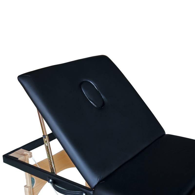 Массажный стол DFC NIRVANA Relax Pro TS3021_B1